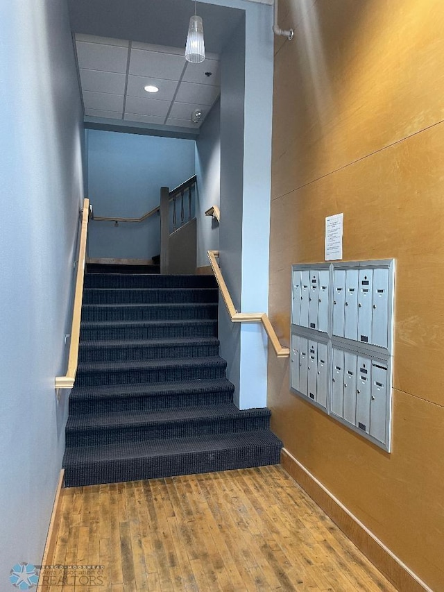 319 Broadway N Unit 207, Fargo, ND 58102 - stairs with mail area, hardwood / wood-style floors, and baseboards