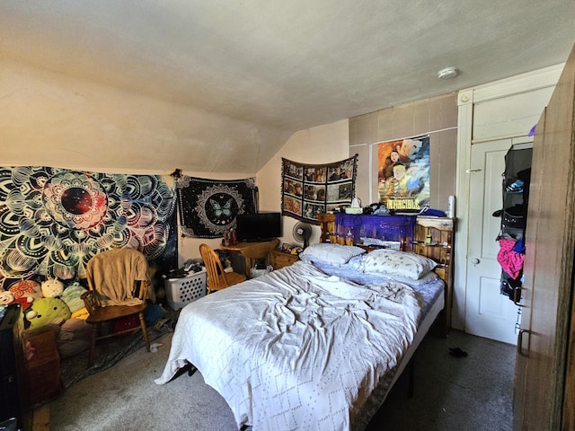 214 Vasa Ave, Fergus Falls, MN 56537 - bedroom with lofted ceiling and carpet floors