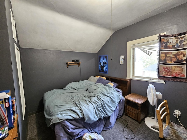 214 Vasa Ave, Fergus Falls, MN 56537 - bedroom with vaulted ceiling and carpet