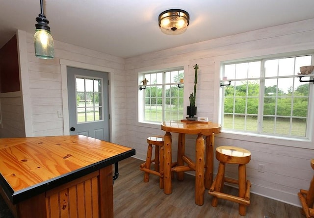 39192 460th Ave, Perham, MN 56573 - dining area with wood finished floors and wood walls