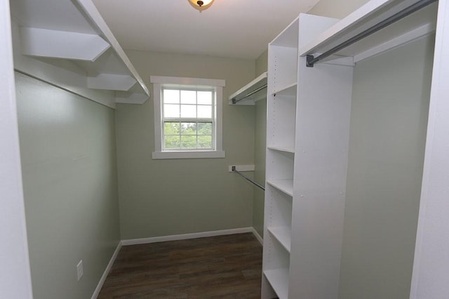 39192 460th Ave, Perham, MN 56573 - spacious closet with dark wood-style flooring