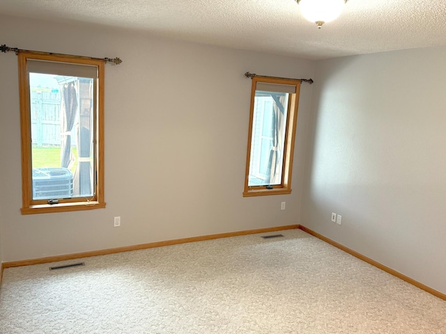 1423 Fairview Ln, Little Falls, MN 56345 - spare room featuring carpet and a textured ceiling