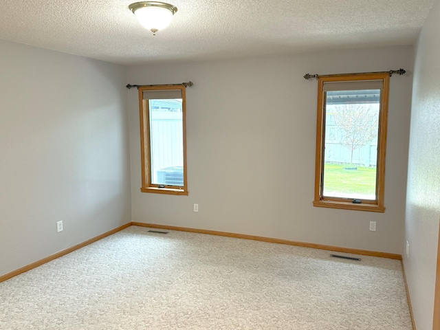 1423 Fairview Ln, Little Falls, MN 56345 - carpeted empty room featuring a textured ceiling and healthy amount of natural light