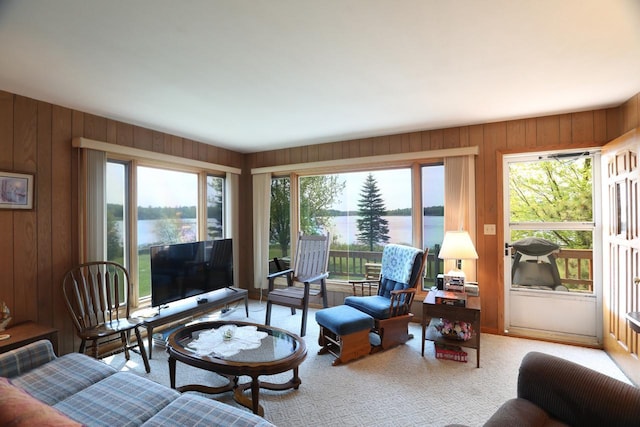 3883 Pleasant Ln, Fayal Twp, MN 55734 - living room featuring wooden walls and healthy amount of natural light
