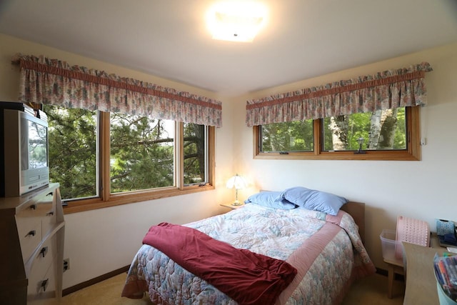 3883 Pleasant Ln, Fayal Twp, MN 55734 - bedroom with light carpet and baseboards