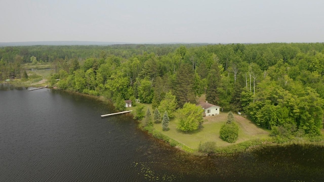 3883 Pleasant Ln, Fayal Twp, MN 55734 - bird's eye view of a heavily wooded area and a nearby body of water