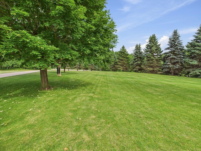 22803 Grove Wood Ln, Rockville, MN 56320 - photo 11