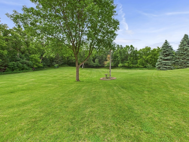 22803 Grove Wood Ln, Rockville, MN 56320 - photo 47