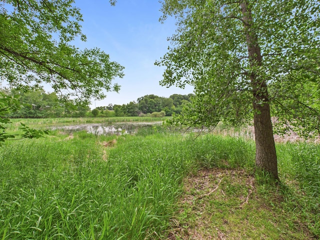 22803 Grove Wood Ln, Rockville, MN 56320 - photo 56