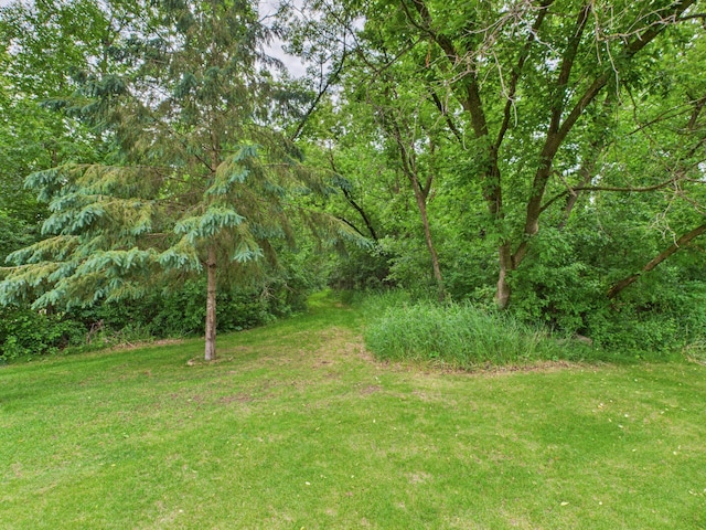 22803 Grove Wood Ln, Rockville, MN 56320 - photo 57