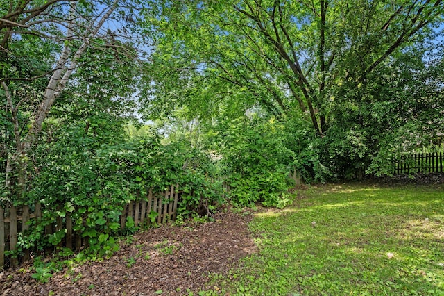 1580 9th Street Cir SE, Forest Lake, MN 55025 - view of yard