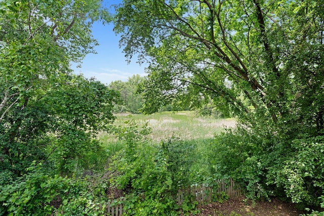 1580 9th Street Cir SE, Forest Lake, MN 55025 - view of nature