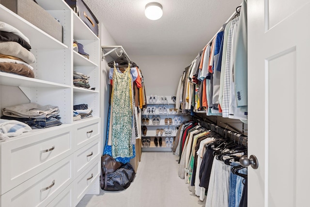 5175 White Star Ln, Woodbury, MN 55129 - spacious closet with light colored carpet