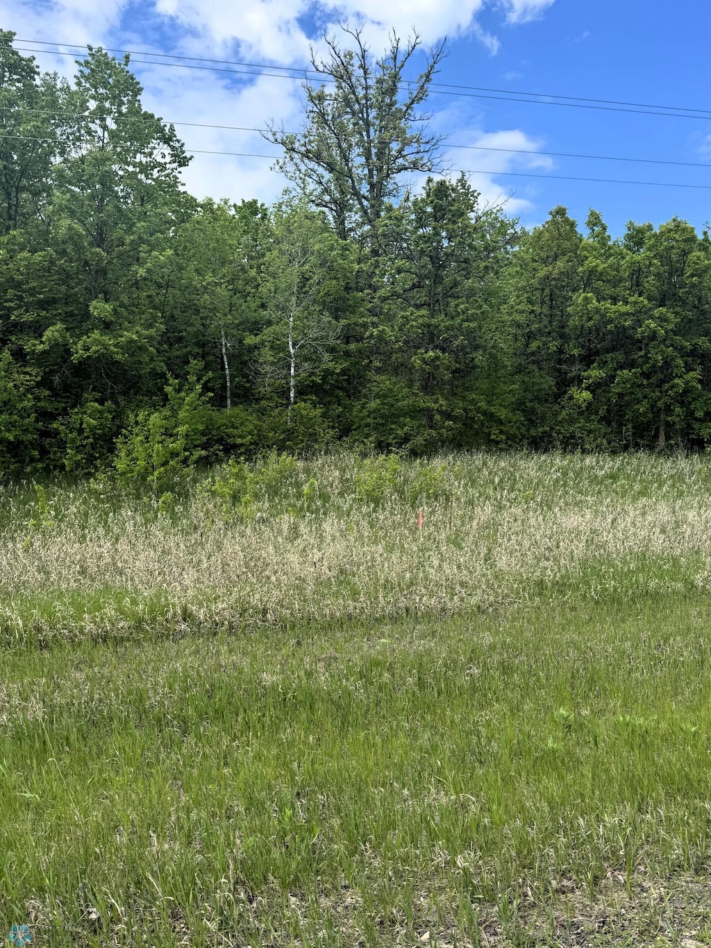 LOT1 Tbd Ln, Little Elbow Twp, MN 56589