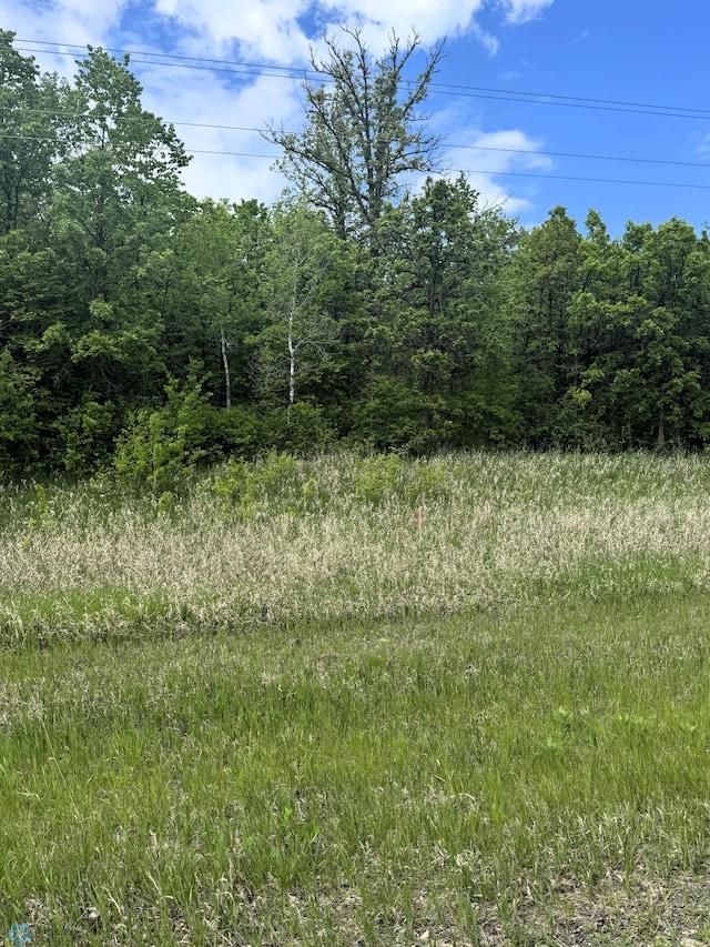 LOT1 Tbd Ln, Little Elbow Twp, MN 56589