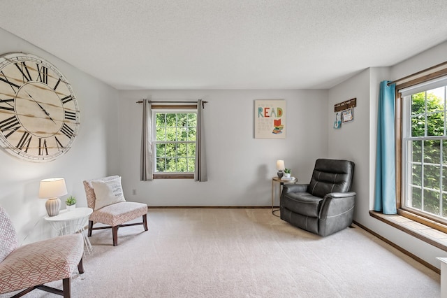 4142 Joppa Cir, Savage, MN 55378 - living area featuring light carpet, a textured ceiling, and baseboards