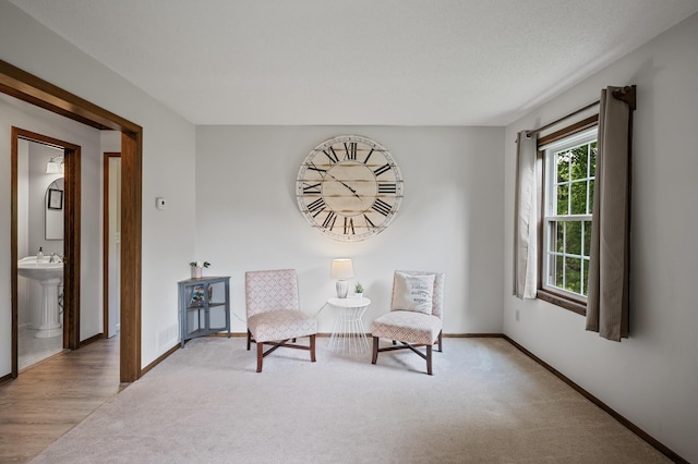 4142 Joppa Cir, Savage, MN 55378 - living area featuring baseboards and carpet flooring