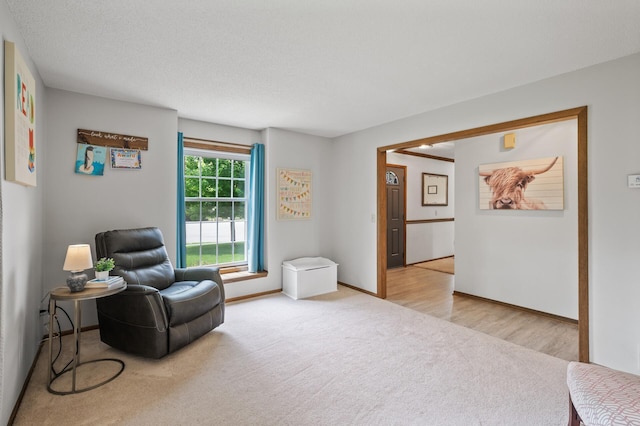 4142 Joppa Cir, Savage, MN 55378 - sitting room with carpet floors and baseboards