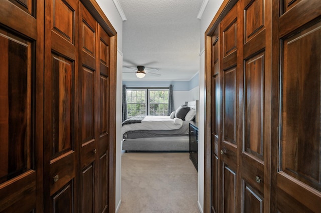 4142 Joppa Cir, Savage, MN 55378 - corridor with carpet flooring, a textured ceiling, and crown molding