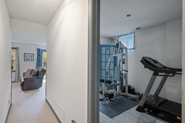 4142 Joppa Cir, Savage, MN 55378 - exercise area featuring carpet floors and a textured ceiling