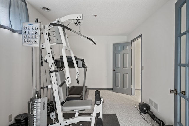 4142 Joppa Cir, Savage, MN 55378 - workout room featuring carpet flooring, baseboards, and a textured ceiling