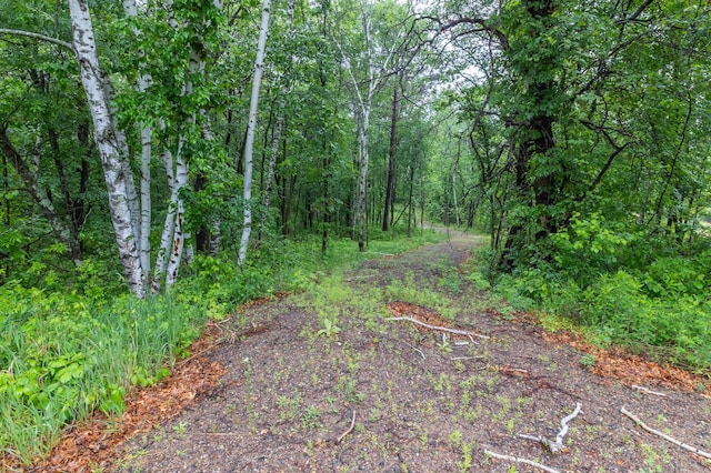 TBD Riverside Dr, Brainerd, MN 56401 - view of woods