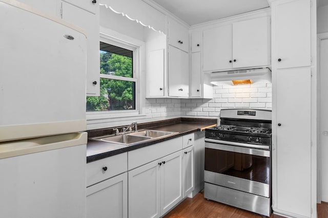 2125 White Bear Ave N, Maplewood, MN 55109 - kitchen with freestanding refrigerator, gas range, under cabinet range hood, a sink, and dark countertops