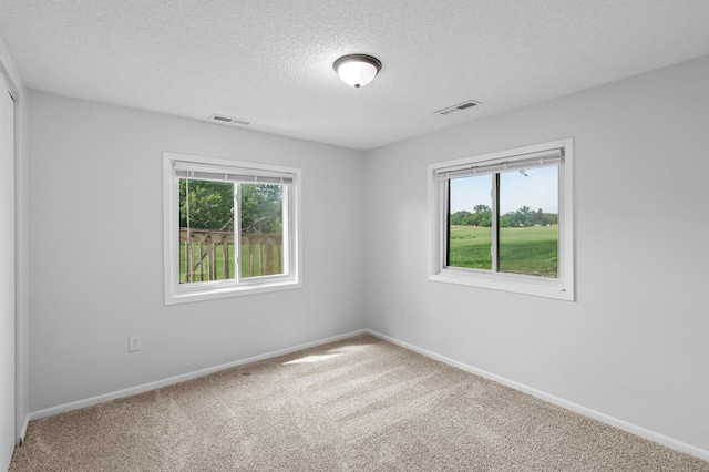 2125 White Bear Ave N, Maplewood, MN 55109 - spare room with healthy amount of natural light, carpet flooring, a textured ceiling, and baseboards