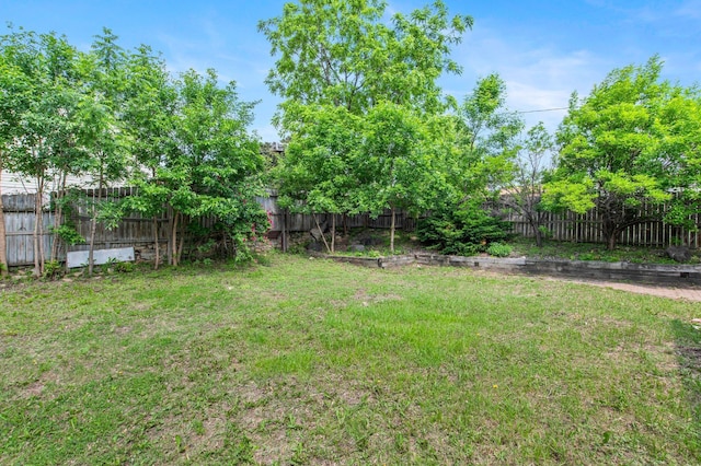 2125 White Bear Ave N, Maplewood, MN 55109 - view of yard