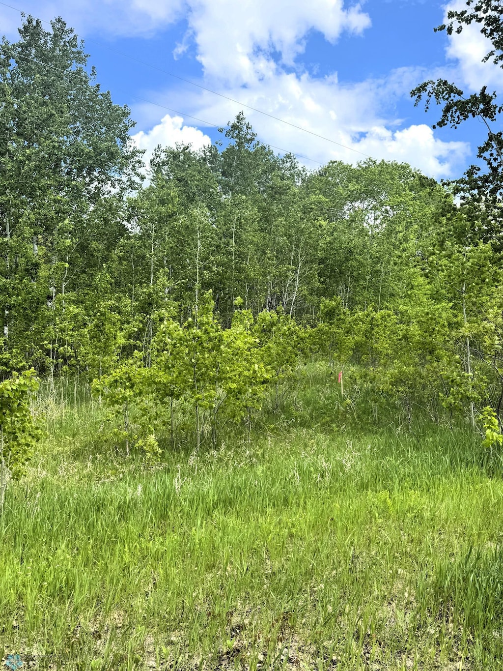 LOT2 Tbd Ln, Little Elbow Twp, MN 56589