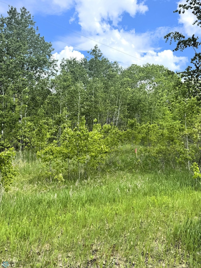 LOT2 Tbd Ln, Little Elbow Twp, MN 56589