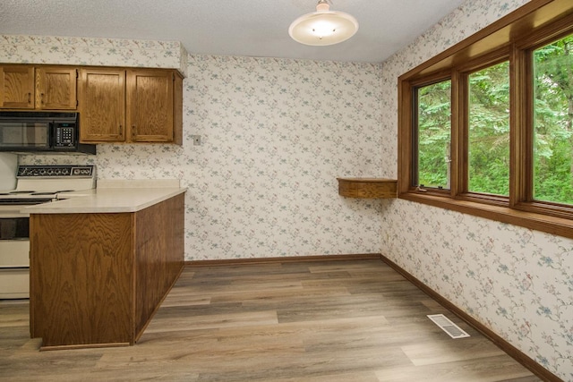 2 Crusader Ave E Unit A, West Saint Paul, MN 55118 - kitchen featuring black microwave, electric range, light wood finished floors, brown cabinets, and light countertops