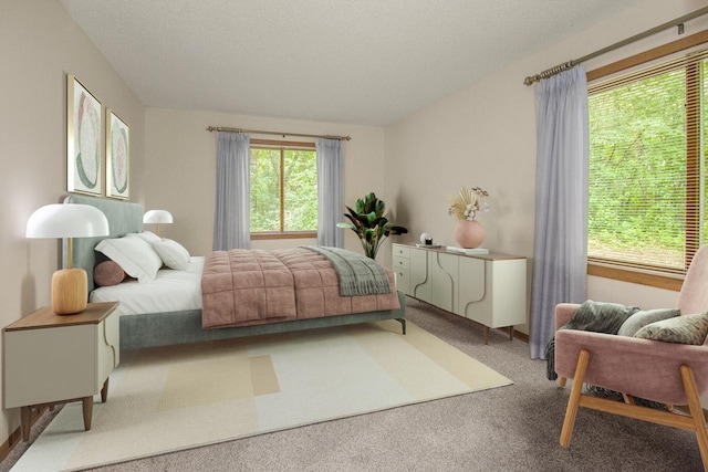 2 Crusader Ave E Unit A, West Saint Paul, MN 55118 - view of carpeted bedroom