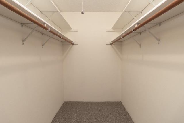 2 Crusader Ave E Unit A, West Saint Paul, MN 55118 - spacious closet with carpet flooring