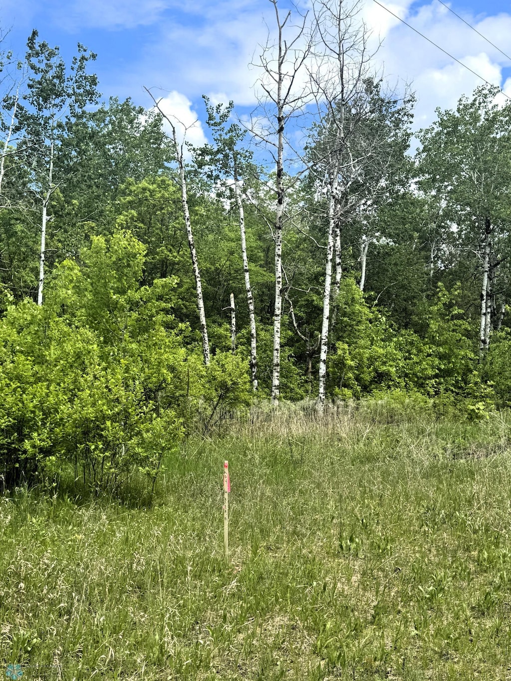 LOT3 Tbd Ln, Little Elbow Twp, MN 56589