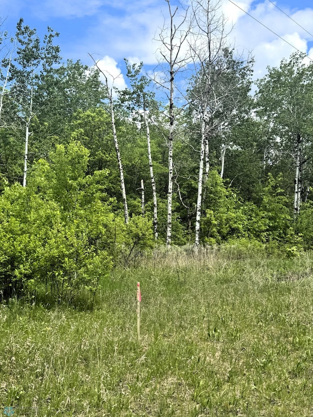 LOT3 Tbd Ln, Little Elbow Twp, MN 56589
