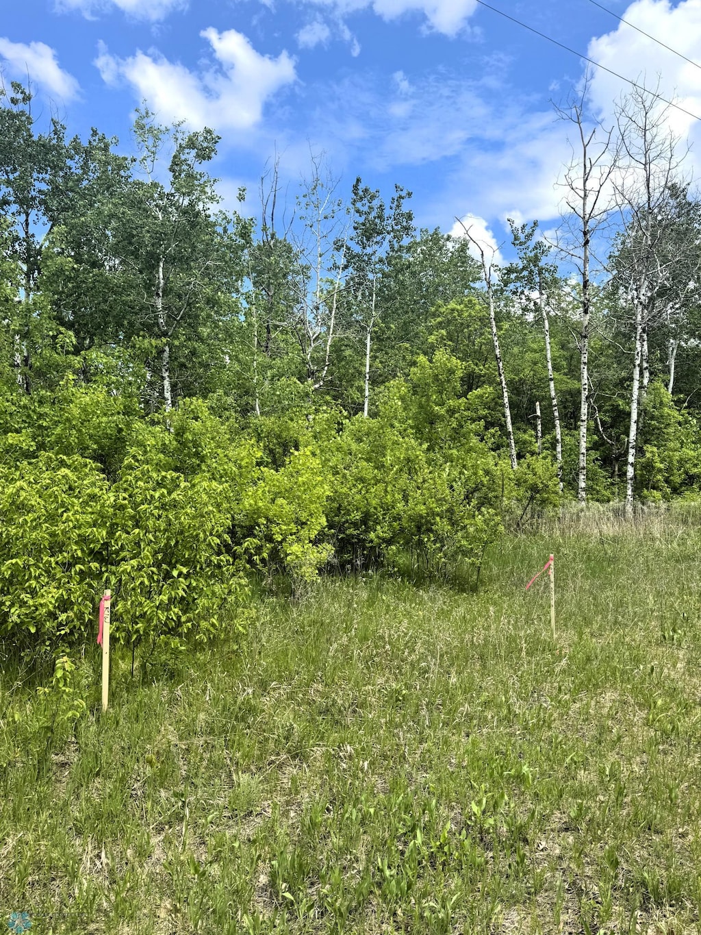 LOT3 Tbd Ln, Little Elbow Twp, MN 56589