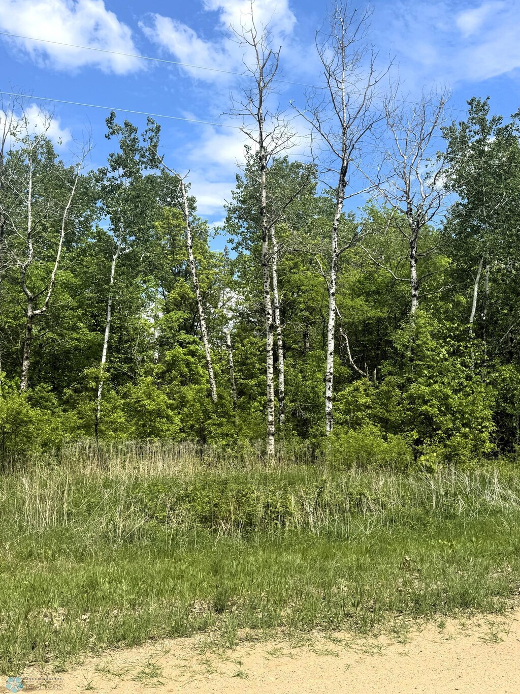 LOT3 Tbd Ln, Little Elbow Twp, MN 56589