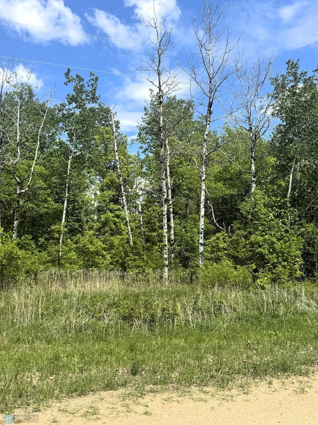 LOT3 Tbd Ln, Little Elbow Twp, MN 56589