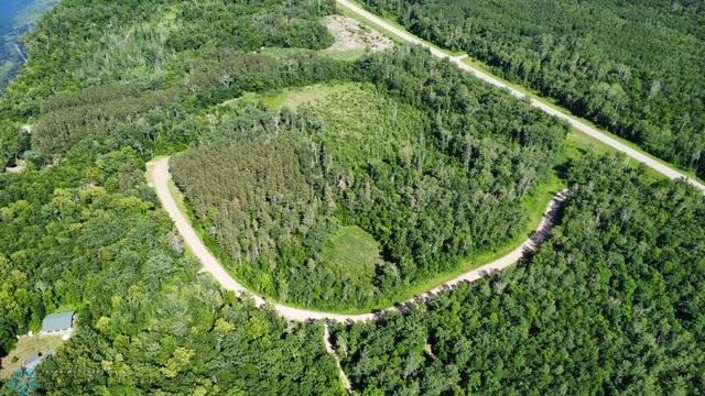 LOT3 Tbd Ln, Little Elbow Twp, MN 56589 - photo 5