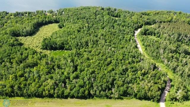 LOT3 Tbd Ln, Little Elbow Twp, MN 56589 - photo 6