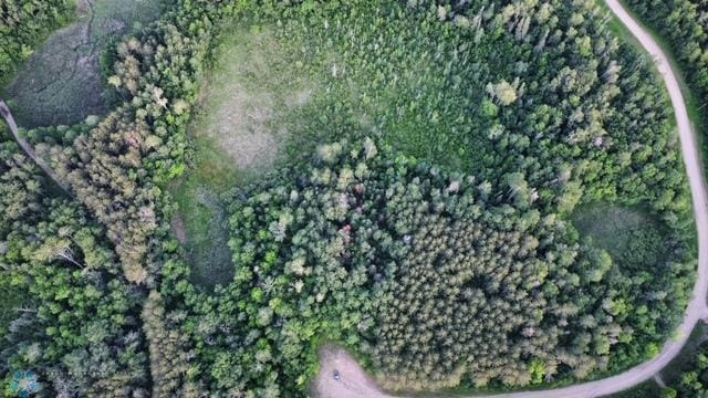 LOT3 Tbd Ln, Little Elbow Twp, MN 56589 - photo 7