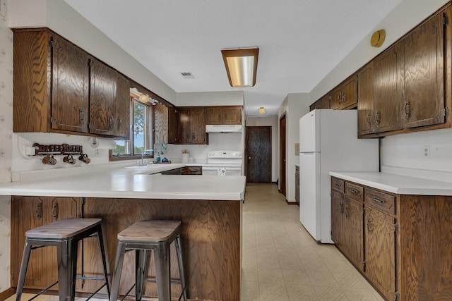 37875 600th Ave, Eden Valley, MN 55329 - kitchen featuring white appliances, under cabinet range hood, a peninsula, light floors, and dark brown cabinetry