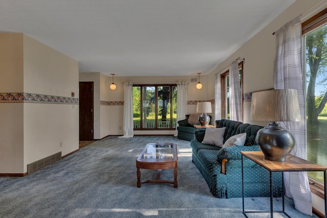 37875 600th Ave, Eden Valley, MN 55329 - living area featuring plenty of natural light and carpet