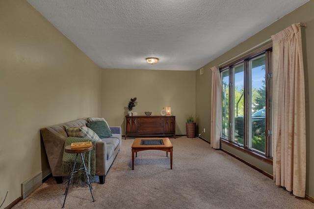 37875 600th Ave, Eden Valley, MN 55329 - living area with carpet floors and a textured ceiling