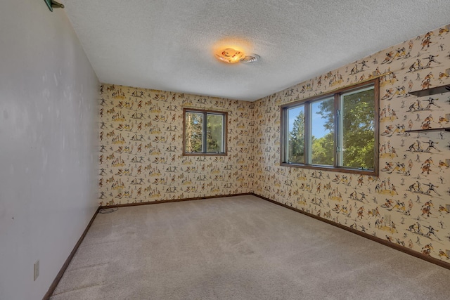 37875 600th Ave, Eden Valley, MN 55329 - carpeted spare room with a textured ceiling and wallpapered walls