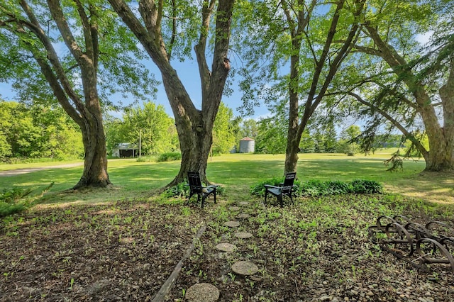 37875 600th Ave, Eden Valley, MN 55329 - view of grassy yard featuring view of wooded area