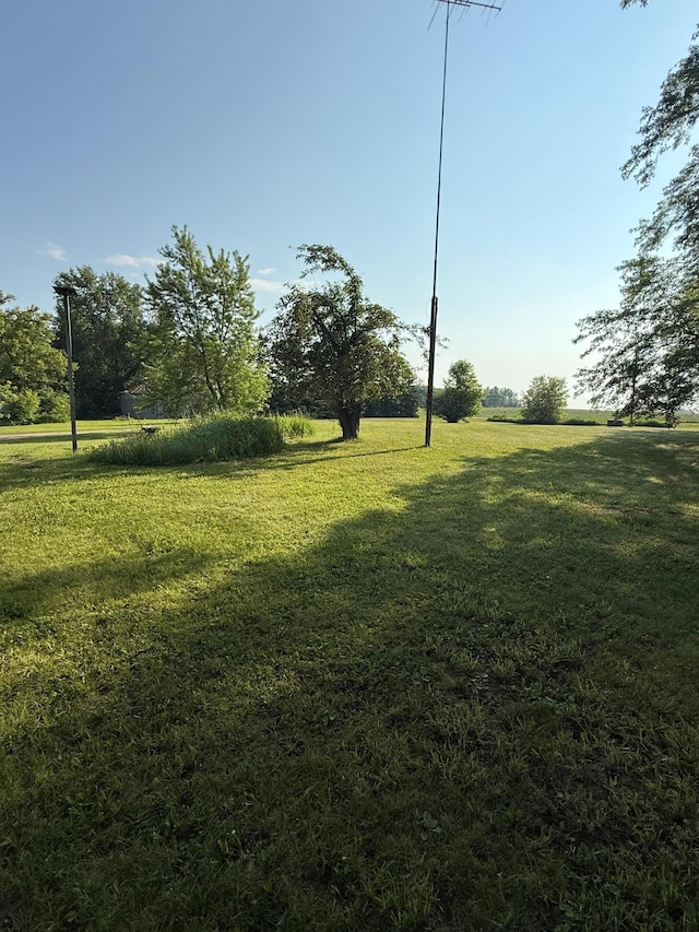 37875 600th Ave, Eden Valley, MN 55329 - view of grassy yard