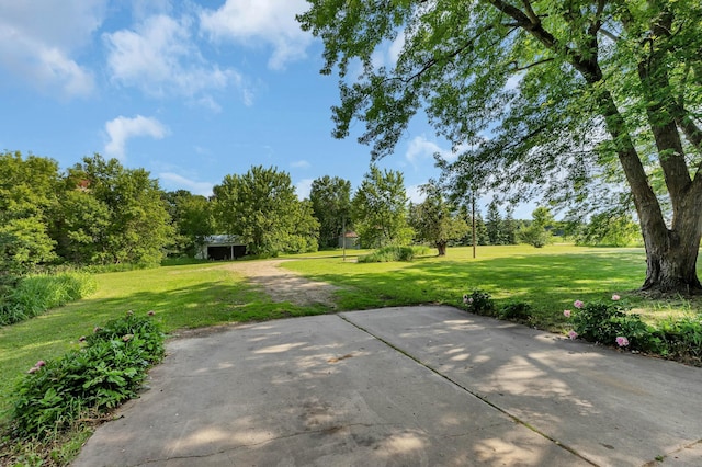 37875 600th Ave, Eden Valley, MN 55329 - view of patio / terrace with view of scattered trees