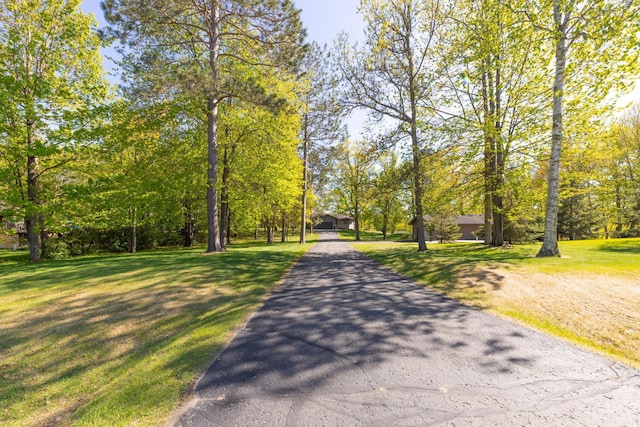 25397 Island View Dr, Cohasset, MN 55721 - view of asphalt driveway